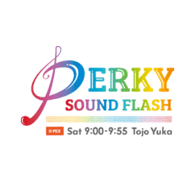PERKY SOUND FLASH